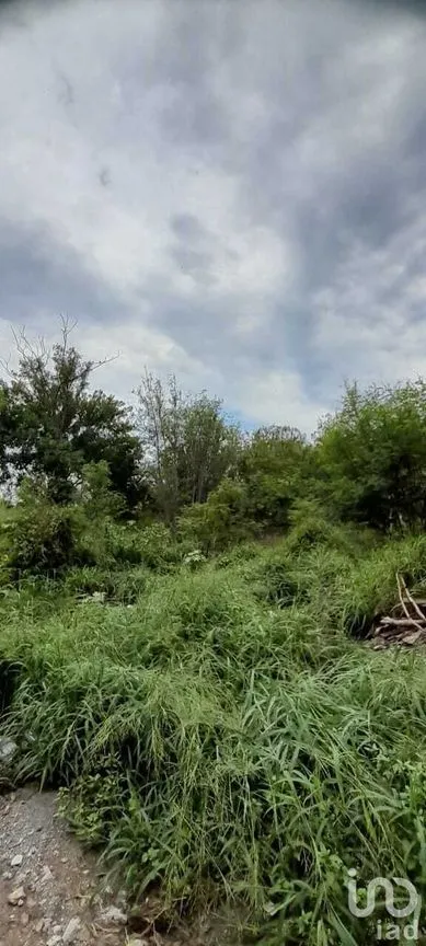 Terreno en Venta en Obrera, Reynosa, Tamaulipas | NEX-228888 | iad México | Foto 1 de 2
