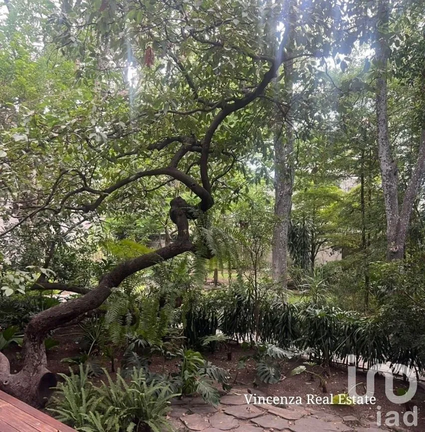 Casa en Renta en Country Club, Guadalajara, Jalisco | NEX-227839 | iad México | Foto 9 de 34