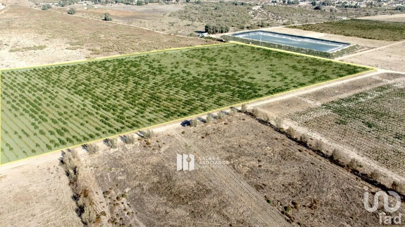 Terreno en Venta en Francisco Zarco, Ensenada, Baja California | NEX-231555 | iad México | Foto 3 de 6