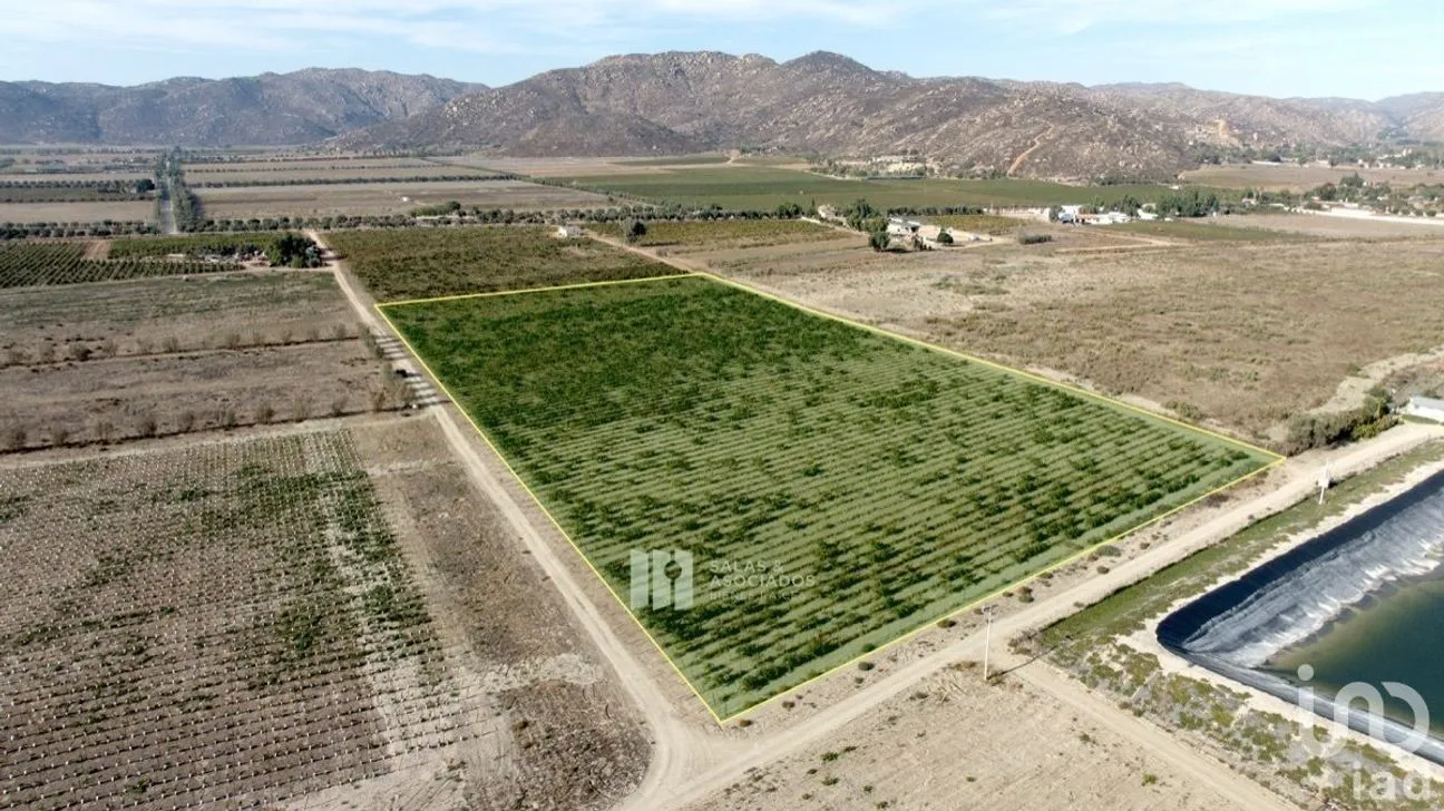 Terreno en Venta en Francisco Zarco, Ensenada, Baja California | NEX-231555 | iad México | Foto 5 de 6