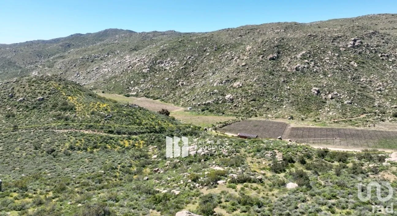 Terreno en Venta en Francisco Zarco, Ensenada, Baja California | NEX-271116 | iad México | Foto 3 de 8