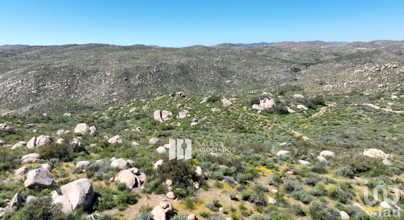 Terreno en Venta en Francisco Zarco, Ensenada, Baja California | NEX-271116 | iad México | Foto 4 de 8