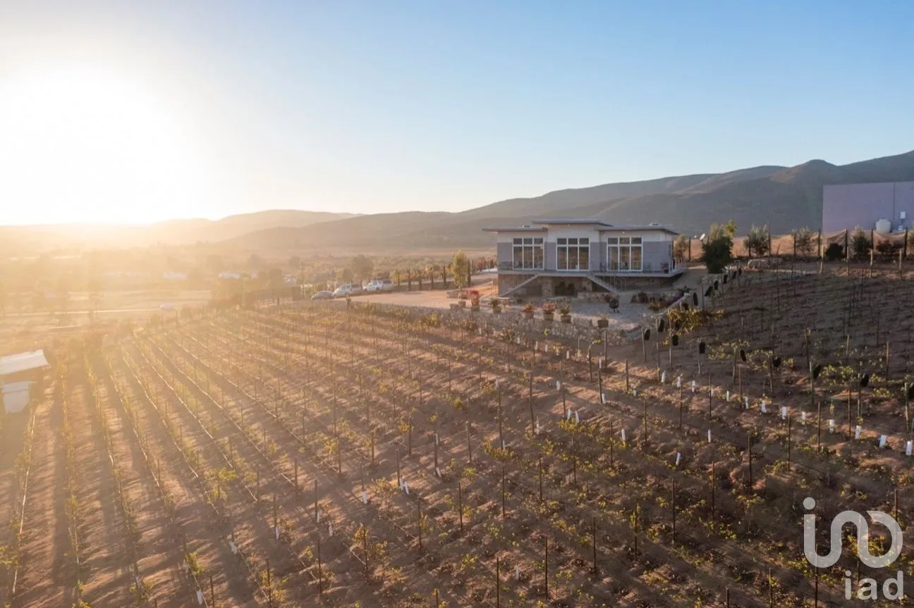 Casa en Venta en El Porvenir, Ensenada, Baja California | NEX-272486 | iad México | Foto 4 de 17
