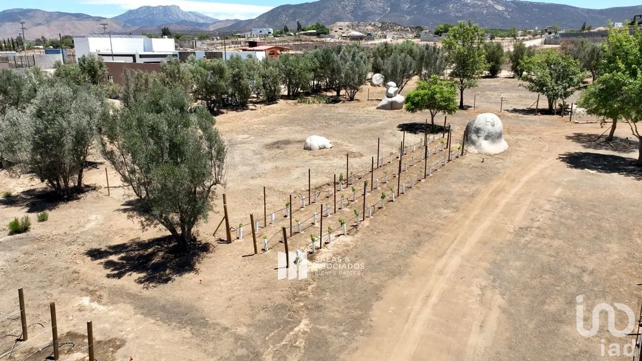 Terreno en Venta en El Porvenir, Ensenada, Baja California | NEX-273669 | iad México | Foto 11 de 31