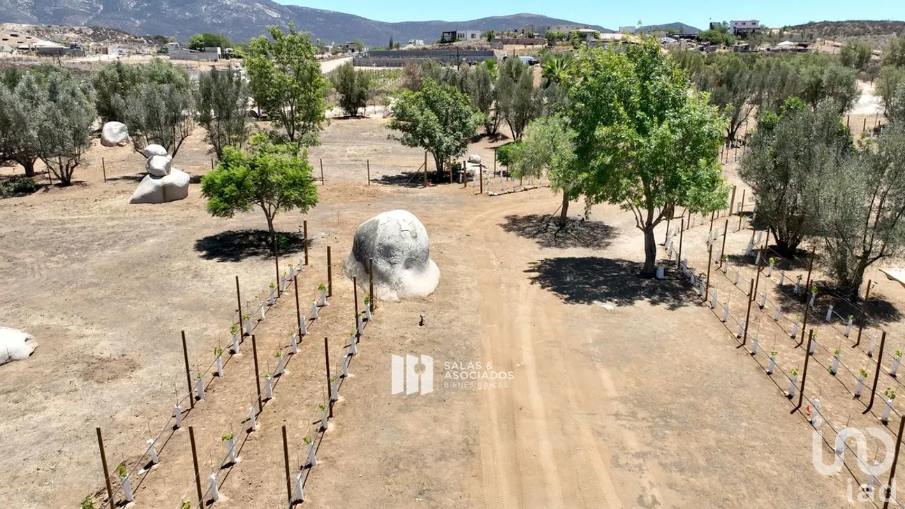Terreno en Venta en El Porvenir, Ensenada, Baja California | NEX-273669 | iad México | Foto 12 de 31