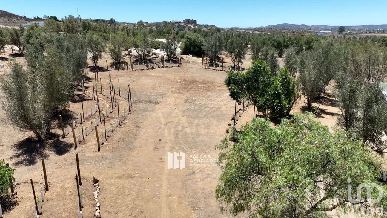 Terreno en Venta en El Porvenir, Ensenada, Baja California | NEX-273669 | iad México | Foto 13 de 31