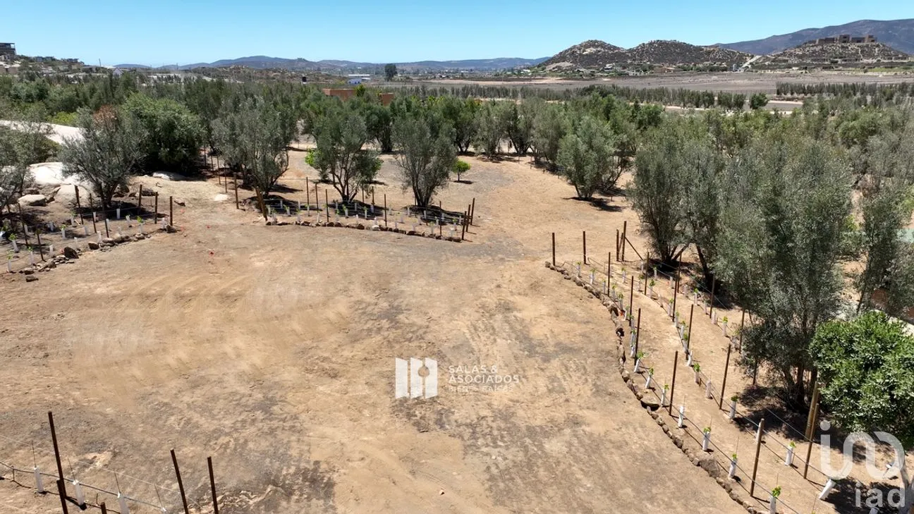 Terreno en Venta en El Porvenir, Ensenada, Baja California | NEX-273669 | iad México | Foto 14 de 31
