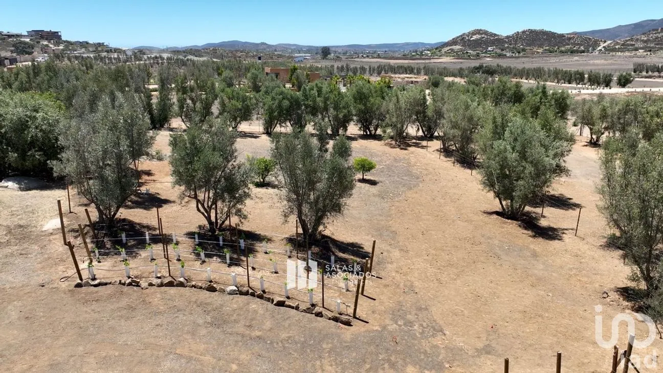 Terreno en Venta en El Porvenir, Ensenada, Baja California | NEX-273669 | iad México | Foto 15 de 31