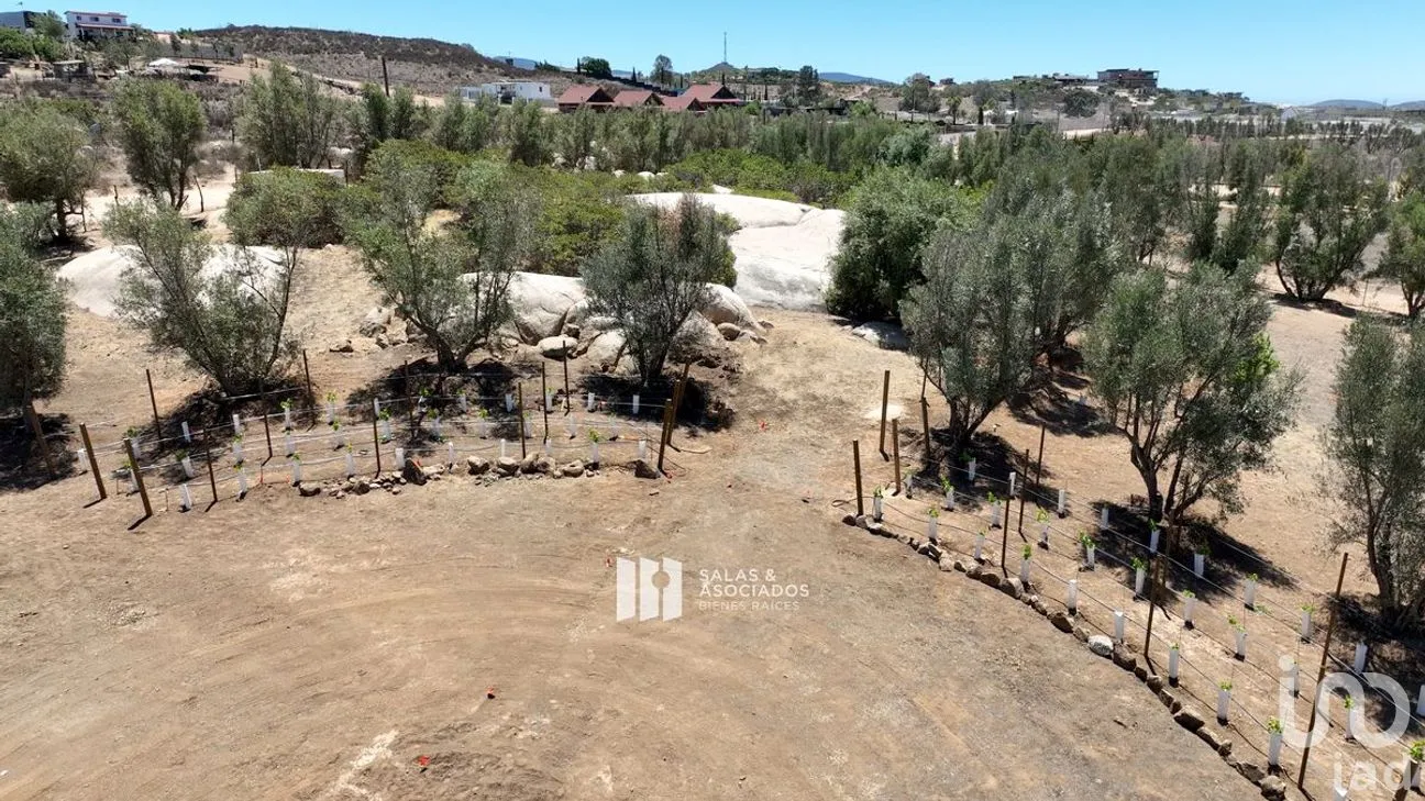 Terreno en Venta en El Porvenir, Ensenada, Baja California | NEX-273669 | iad México | Foto 16 de 31
