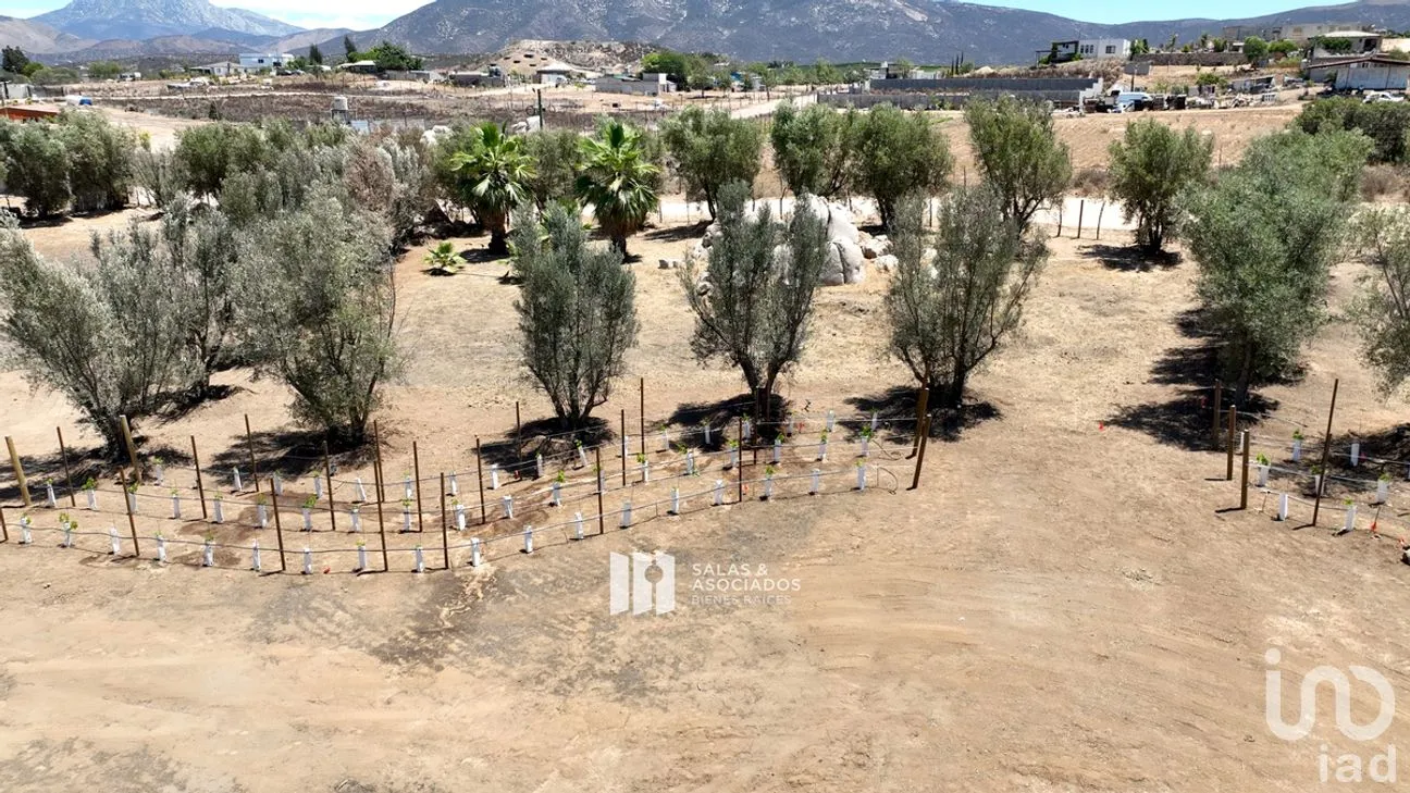 Terreno en Venta en El Porvenir, Ensenada, Baja California | NEX-273669 | iad México | Foto 17 de 31