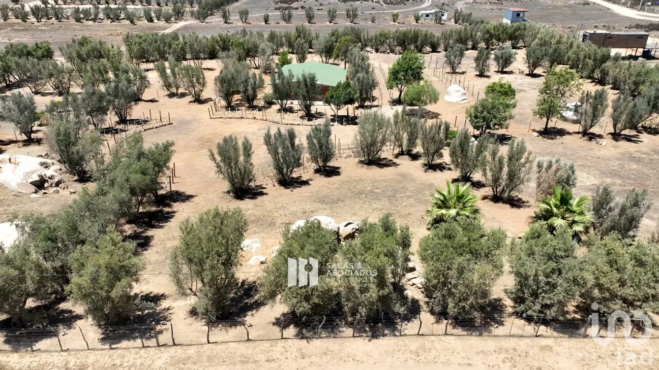 Terreno en Venta en El Porvenir, Ensenada, Baja California | NEX-273669 | iad México | Foto 18 de 31