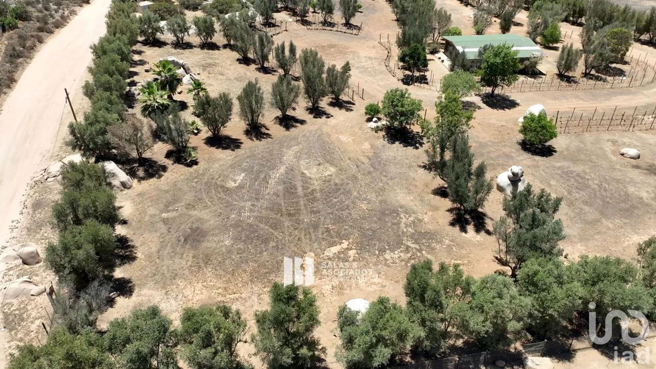 Terreno en Venta en El Porvenir, Ensenada, Baja California | NEX-273669 | iad México | Foto 19 de 31