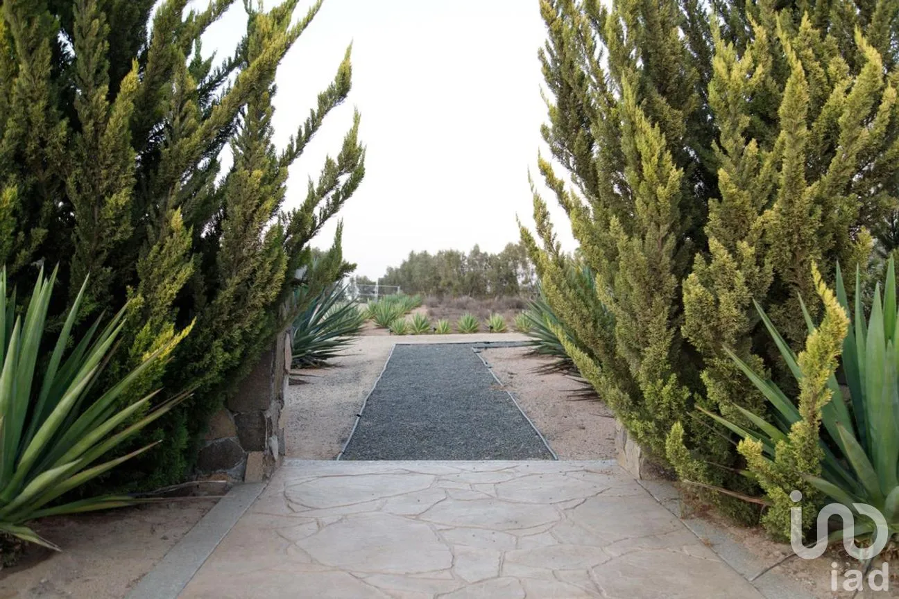 Terreno en Venta en El Porvenir, Ensenada, Baja California | NEX-273669 | iad México | Foto 24 de 31