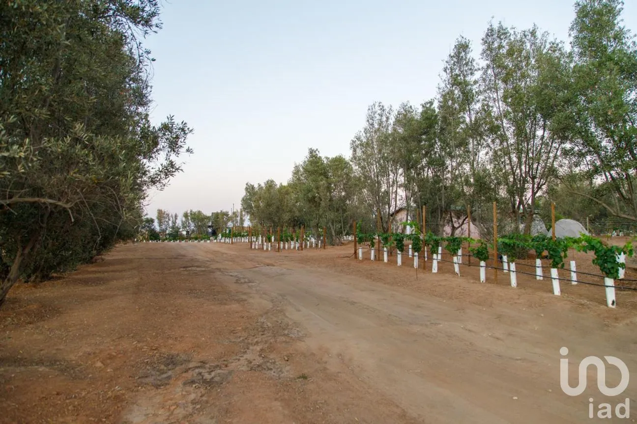 Terreno en Venta en El Porvenir, Ensenada, Baja California | NEX-273669 | iad México | Foto 25 de 31
