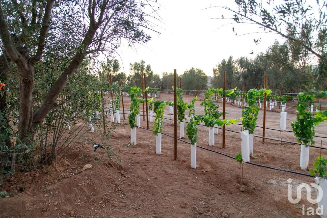Terreno en Venta en El Porvenir, Ensenada, Baja California | NEX-273669 | iad México | Foto 26 de 31