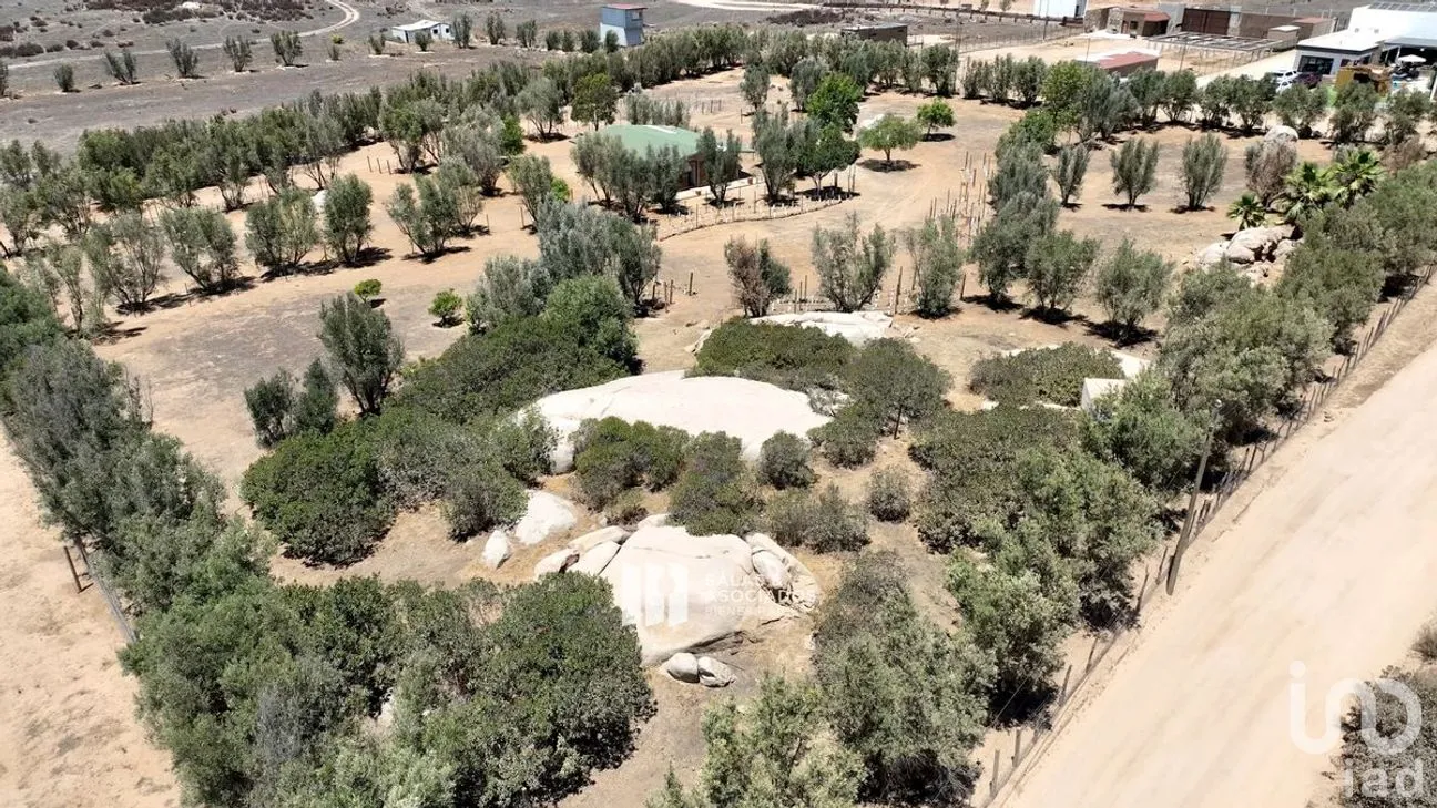 Terreno en Venta en El Porvenir, Ensenada, Baja California | NEX-273669 | iad México | Foto 4 de 31