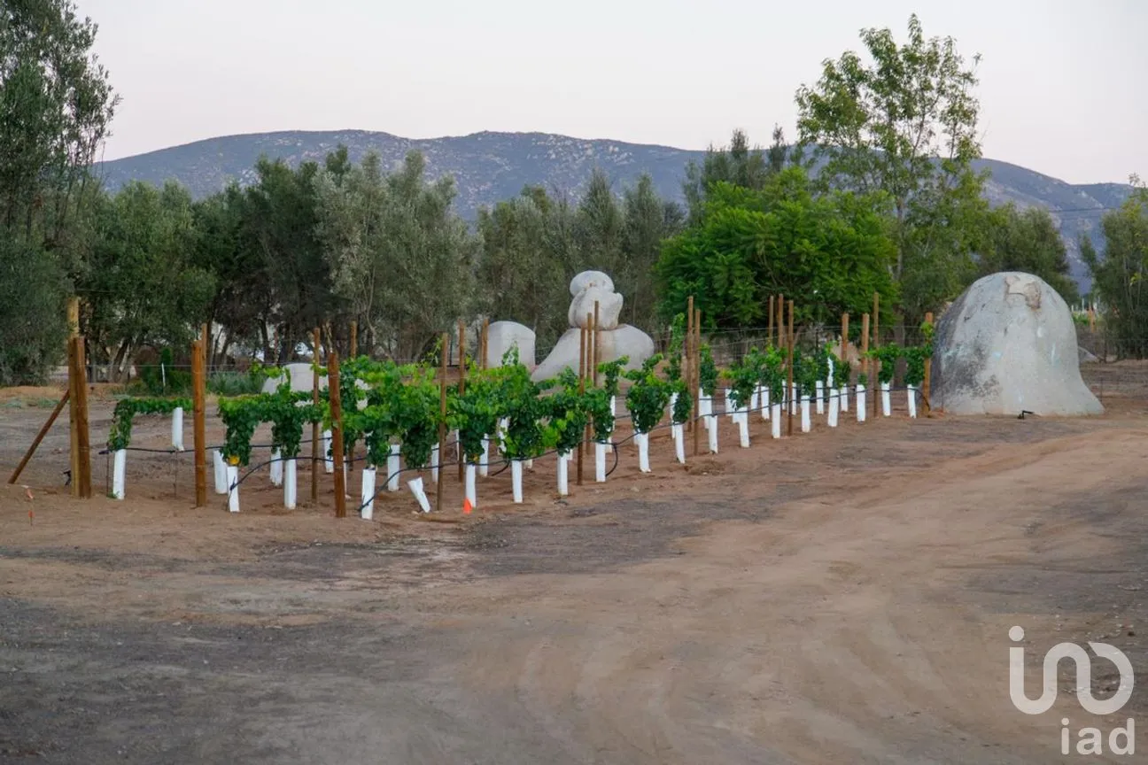 Terreno en Venta en El Porvenir, Ensenada, Baja California | NEX-273669 | iad México | Foto 31 de 31