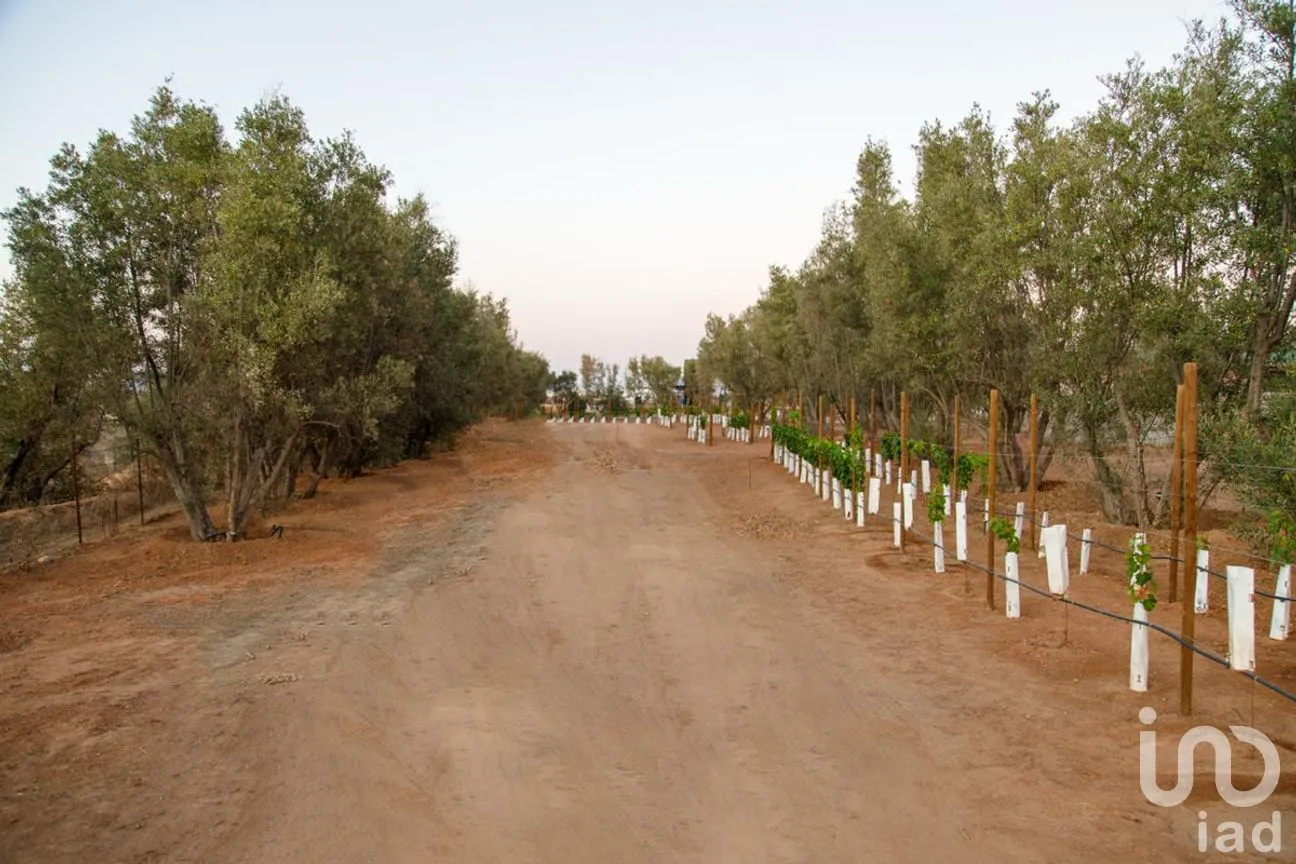 Terreno en Venta en El Porvenir, Ensenada, Baja California | NEX-273669 | iad México | Foto 6 de 31