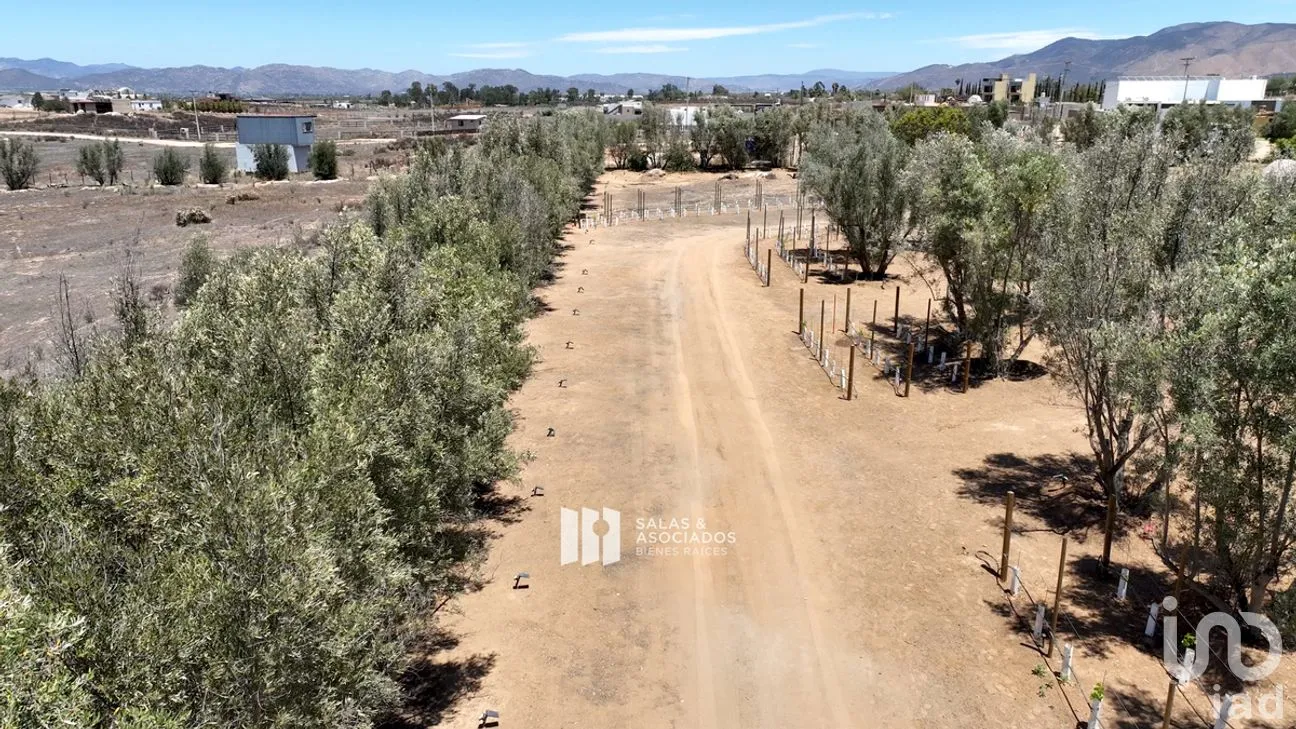 Terreno en Venta en El Porvenir, Ensenada, Baja California | NEX-273669 | iad México | Foto 9 de 31