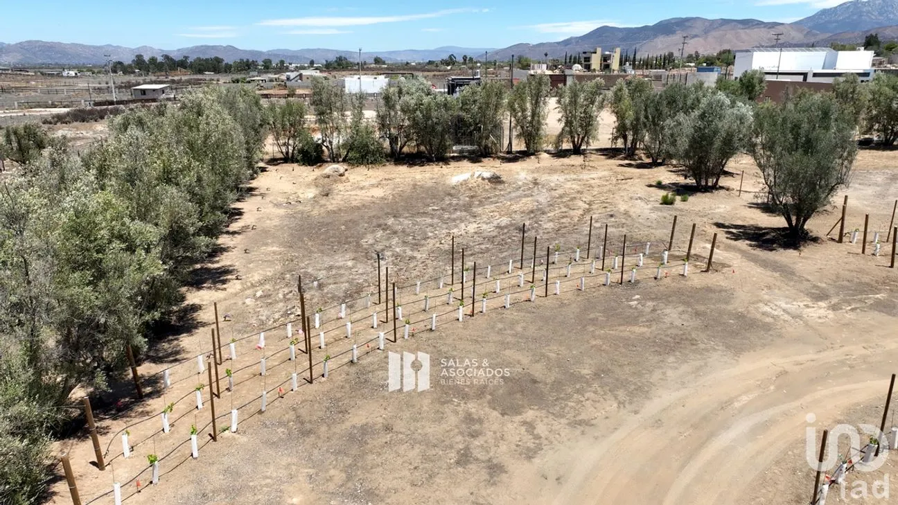 Terreno en Venta en El Porvenir, Ensenada, Baja California | NEX-273669 | iad México | Foto 10 de 31
