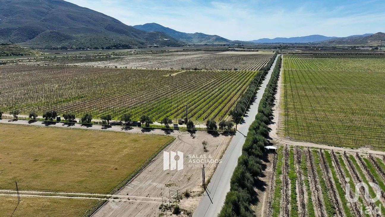 Terreno en Venta en Francisco Zarco, Ensenada, Baja California | NEX-290428 | iad México | Foto 2 de 11