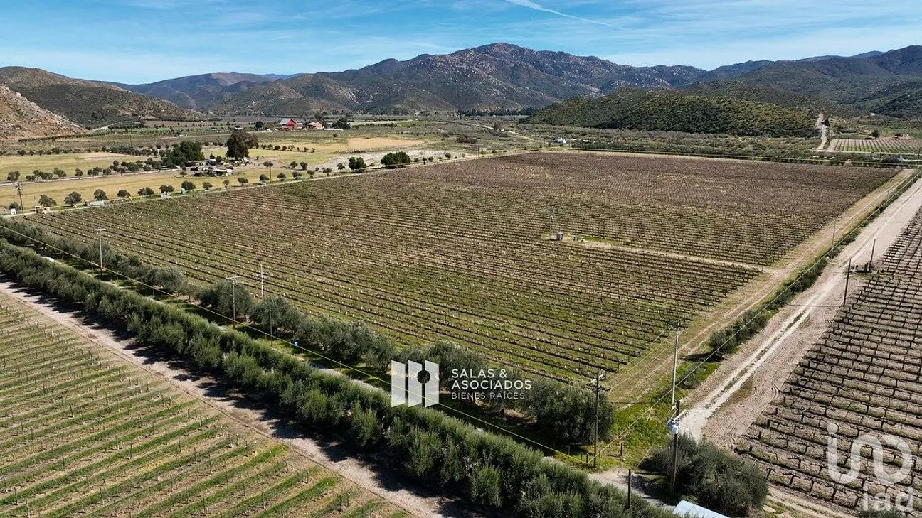 Terreno en Venta en Francisco Zarco, Ensenada, Baja California | NEX-290428 | iad México | Foto 3 de 11