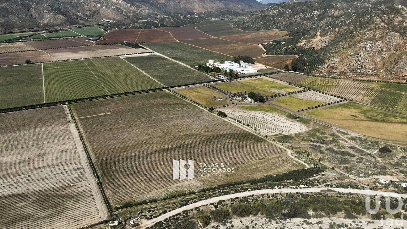 Terreno en Venta en Francisco Zarco, Ensenada, Baja California | NEX-290428 | iad México | Foto 4 de 11