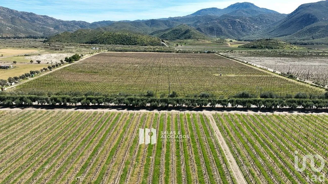 Terreno en Venta en Francisco Zarco, Ensenada, Baja California | NEX-290428 | iad México | Foto 5 de 11