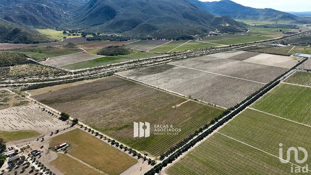 Terreno en Venta en Francisco Zarco, Ensenada, Baja California | NEX-290428 | iad México | Foto 7 de 11