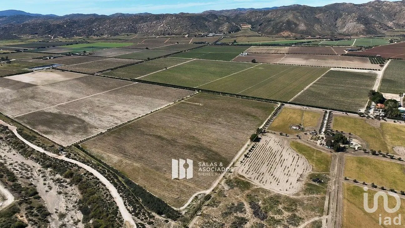 Terreno en Venta en Francisco Zarco, Ensenada, Baja California | NEX-290428 | iad México | Foto 8 de 11