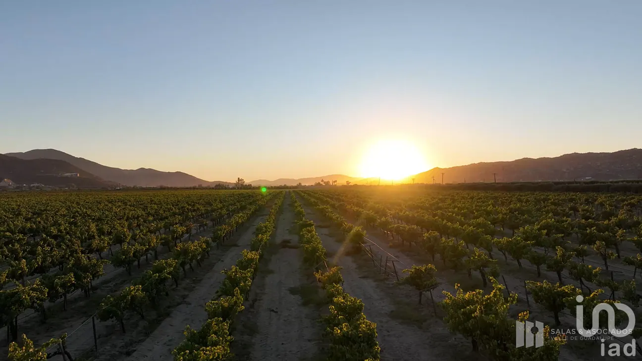 Terreno en Venta en Francisco Zarco, Ensenada, Baja California | NEX-290428 | iad México | Foto 9 de 11