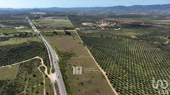 NEX-290708 - Terreno en Venta en El Porvenir, CP 22755, Baja California.