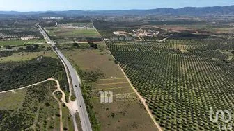 NEX-290752 - Terreno en Venta en El Porvenir, CP 22755, Baja California.