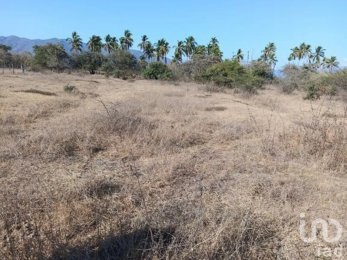 Terreno en Venta en Coyuca de Benítez Centro, Coyuca de Benítez, Guerrero | NEX-278526 | iad México | Foto 7 de 9