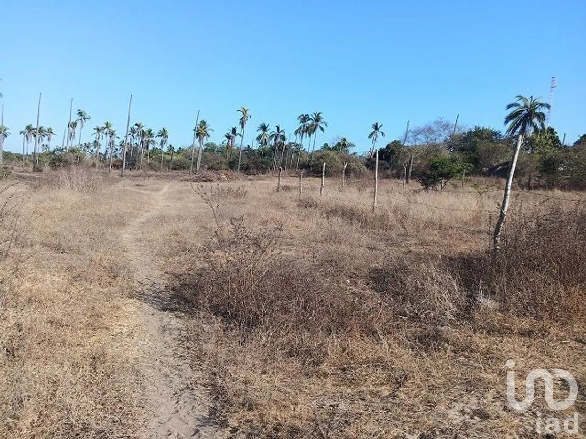 Terreno en Venta en Coyuca de Benítez Centro, Coyuca de Benítez, Guerrero | NEX-278526 | iad México | Foto 8 de 9