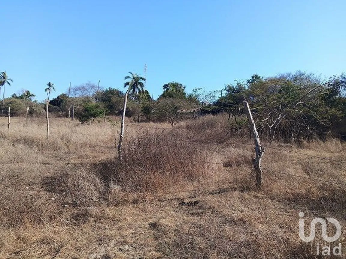 Terreno en Venta en Coyuca de Benítez Centro, Coyuca de Benítez, Guerrero | NEX-278526 | iad México | Foto 9 de 9