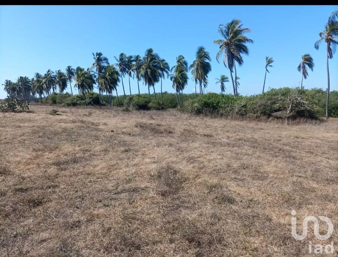 Terreno en Venta en San Marcos, San Marcos, Guerrero | NEX-278532 | iad México | Foto 2 de 3
