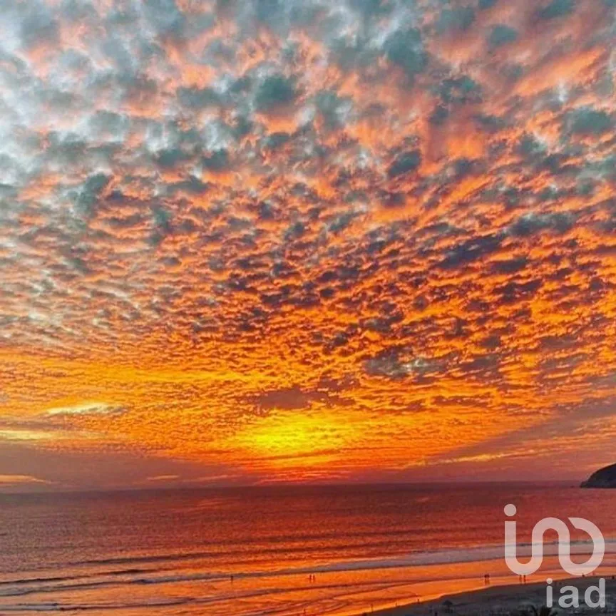 Departamento en Renta en Icacos, Acapulco de Juárez, Guerrero | NEX-278534 | iad México | Foto 9 de 29