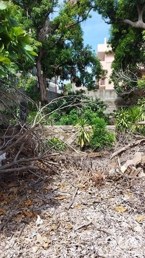 Casa en Venta en Vista Alegre, Acapulco de Juárez, Guerrero | NEX-278537 | iad México | Foto 12 de 19
