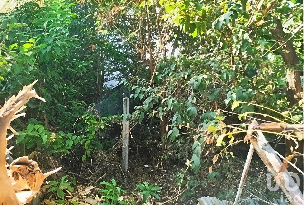 Terreno en Venta en Mozimba, Acapulco de Juárez, Guerrero | NEX-288295 | iad México | Foto 16 de 16