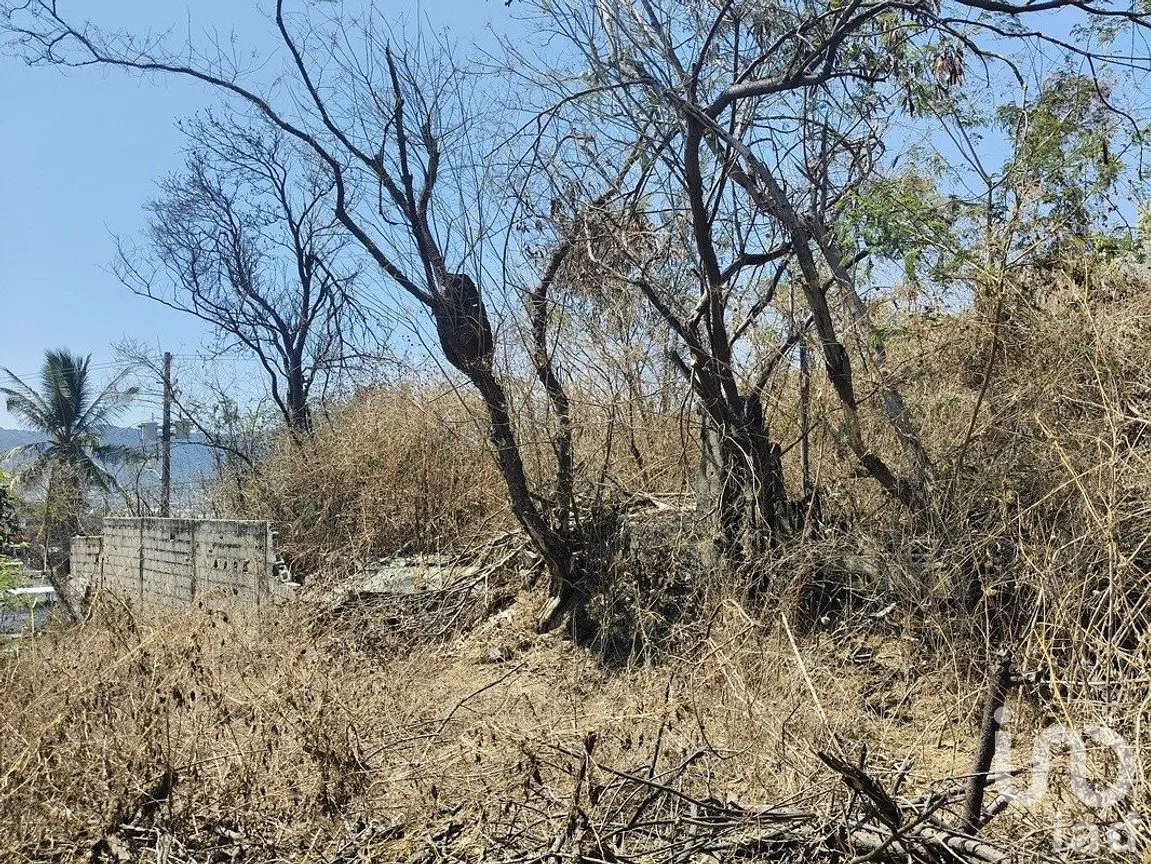 Terreno en Venta en Arroyo Seco, Acapulco de Juárez, Guerrero | NEX-291377 | iad México | Foto 7 de 11