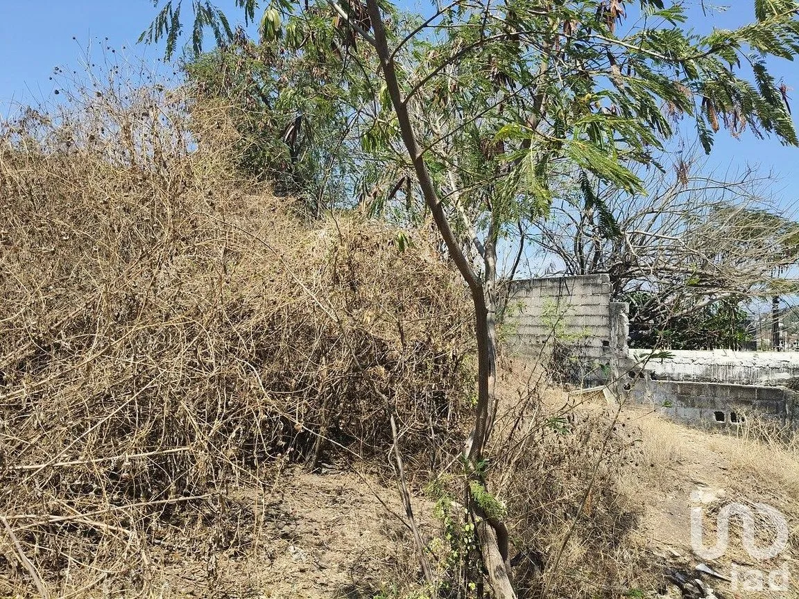 Terreno en Venta en Arroyo Seco, Acapulco de Juárez, Guerrero | NEX-291377 | iad México | Foto 8 de 11