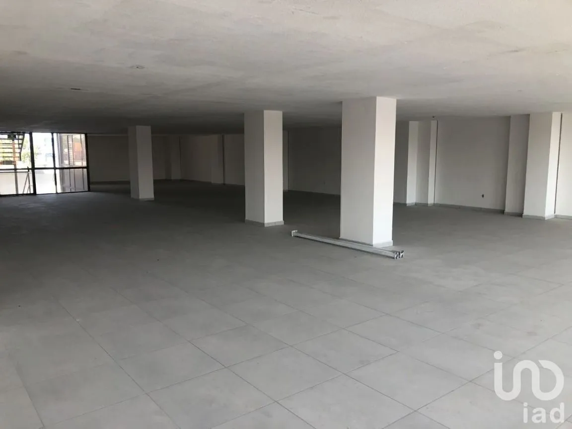 Oficina en Renta en Del Valle Centro, Benito Juárez, Ciudad de México | NEX-229303 | iad México | Foto 6 de 16