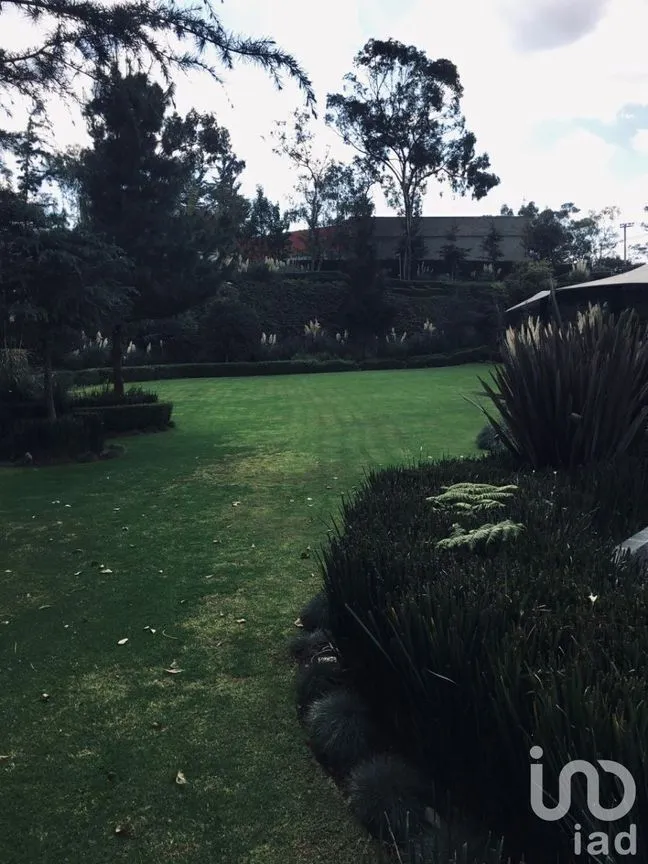 Departamento en Venta en Paseo de las Lomas, Álvaro Obregón, Ciudad de México | NEX-231050 | iad México | Foto 11 de 43
