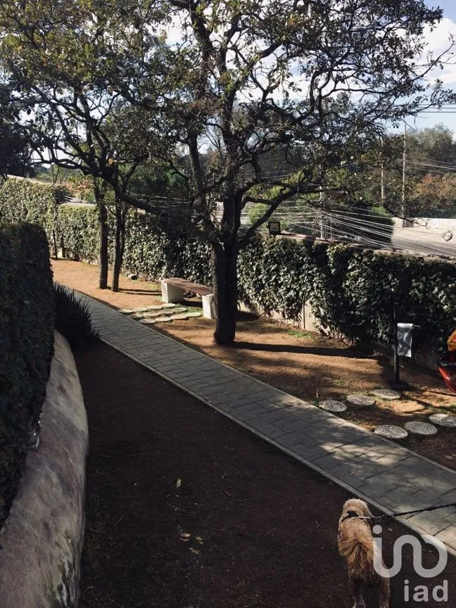 Departamento en Venta en Paseo de las Lomas, Álvaro Obregón, Ciudad de México | NEX-231050 | iad México | Foto 40 de 43