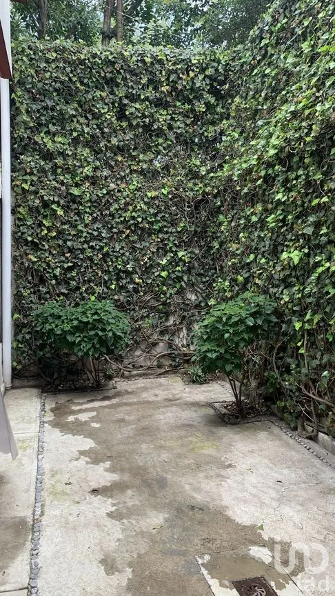 Casa en Venta en Jardines del Sur, Xochimilco, Ciudad de México | NEX-273658 | iad México | Foto 4 de 34