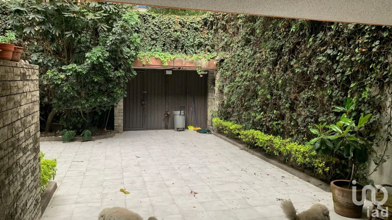 Casa en Venta en San José Insurgentes, Benito Juárez, Ciudad de México | NEX-282991 | iad México | Foto 2 de 14