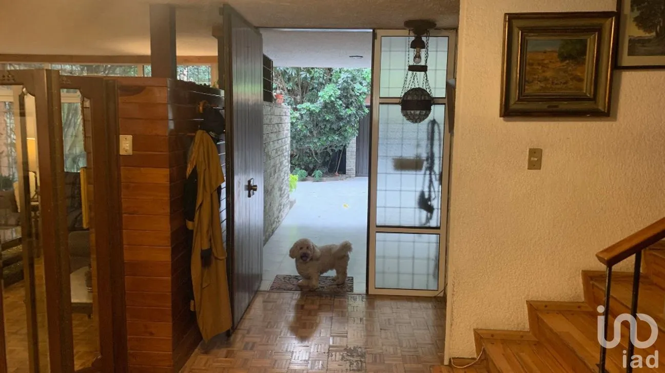 Casa en Venta en San José Insurgentes, Benito Juárez, Ciudad de México | NEX-282991 | iad México | Foto 8 de 14