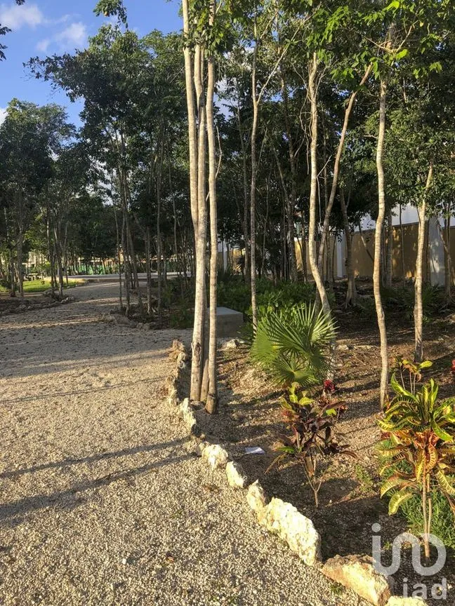 Casa en Venta en Grand Santa Fe, Benito Juárez, Quintana Roo | NEX-227082 | iad México | Foto 15 de 17