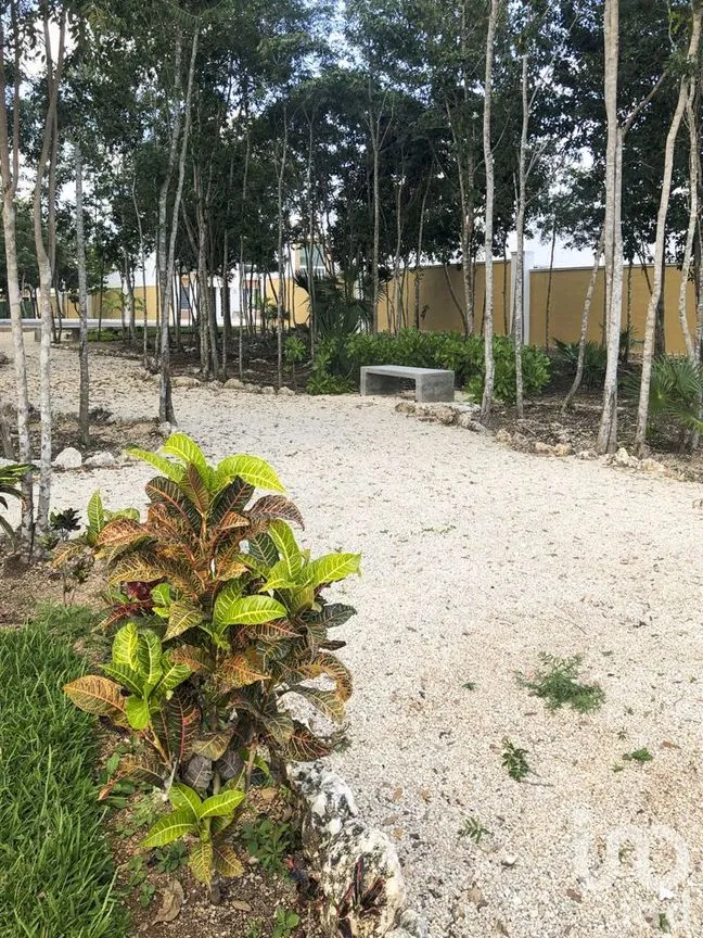 Casa en Venta en Grand Santa Fe, Benito Juárez, Quintana Roo | NEX-227082 | iad México | Foto 17 de 17